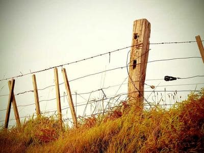 The Latest Smartphone Release: Features and Pricing