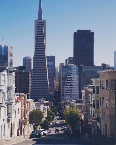 Things You Didn't Know About the American Past Politicians